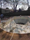 Vinyl liner