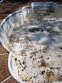 Vinyl liner