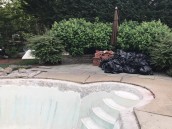 Pool Rehab in Potomac