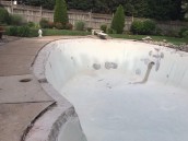 Pool Rehab in Potomac