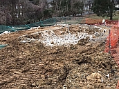 Pool Remodeling