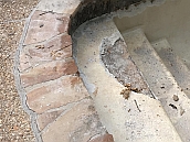 Pool Renovation & Deck Replacement