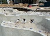 Pool Line Replacement