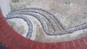 Pool Renovation Falls Church