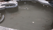 Pool Rehab in Potomac