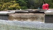 Pool Rehab in Potomac