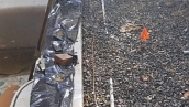 Pool Renovation Washington DC
